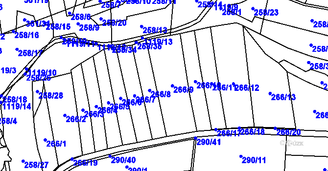 Parcela st. 266 v KÚ Niva, Katastrální mapa