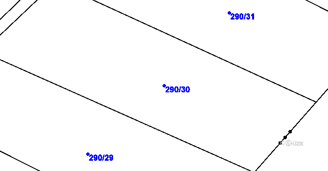 Parcela st. 290/30 v KÚ Niva, Katastrální mapa