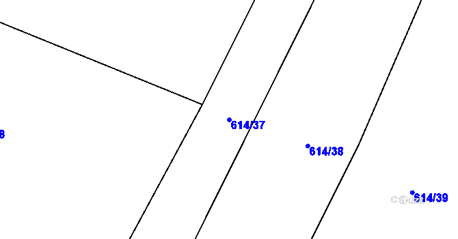 Parcela st. 614/37 v KÚ Niva, Katastrální mapa