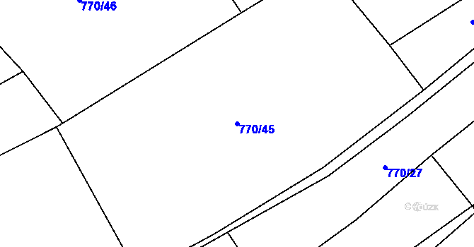 Parcela st. 770/45 v KÚ Niva, Katastrální mapa