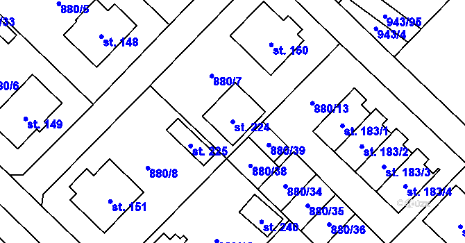 Parcela st. 224 v KÚ Nížkov, Katastrální mapa