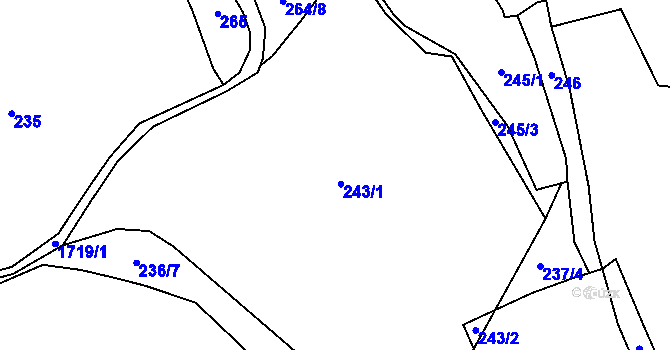 Parcela st. 243 v KÚ Nížkov, Katastrální mapa