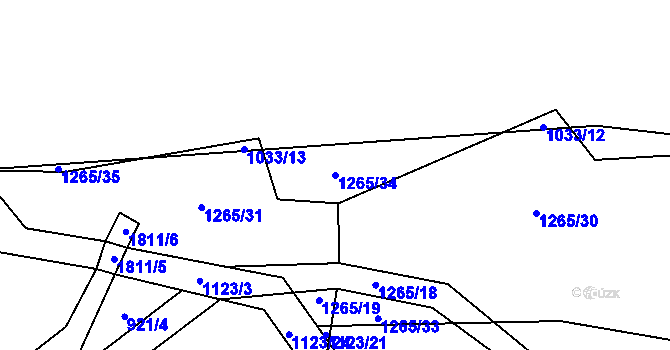 Parcela st. 1265/34 v KÚ Nížkov, Katastrální mapa