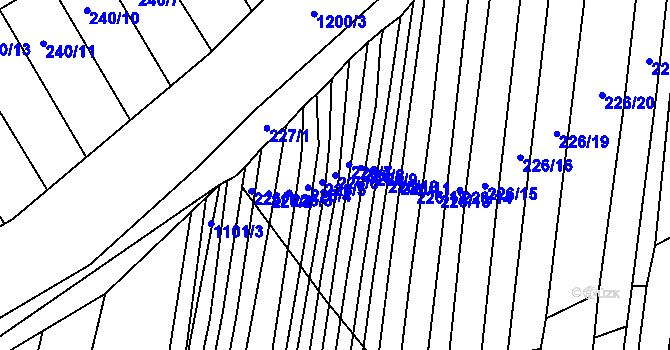 Parcela st. 226/6 v KÚ Nížkovice, Katastrální mapa