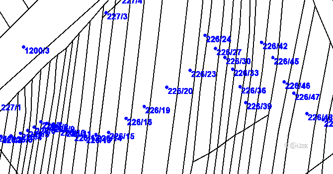 Parcela st. 226/20 v KÚ Nížkovice, Katastrální mapa