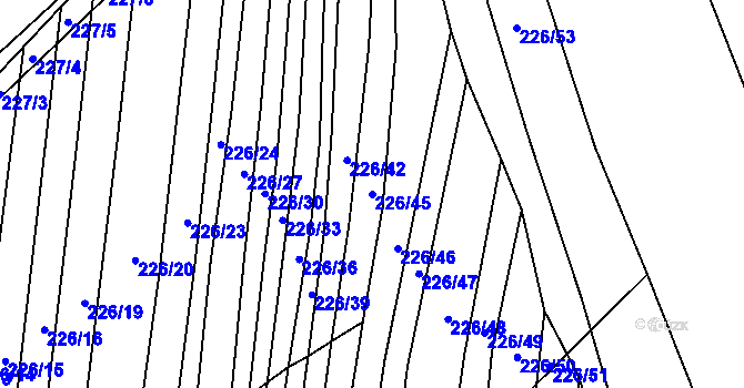 Parcela st. 226/45 v KÚ Nížkovice, Katastrální mapa