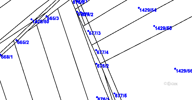 Parcela st. 677/4 v KÚ Nížkovice, Katastrální mapa