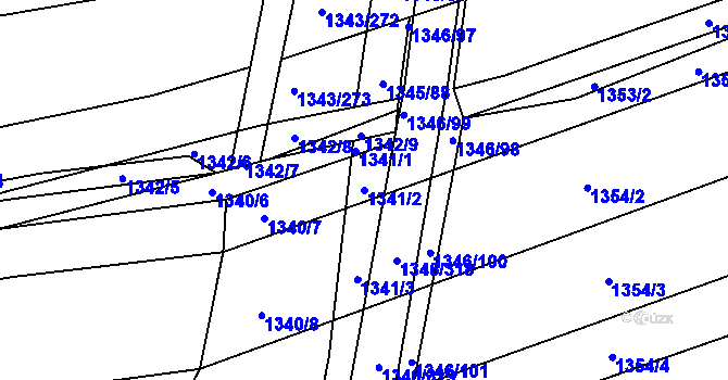 Parcela st. 1341/2 v KÚ Nížkovice, Katastrální mapa