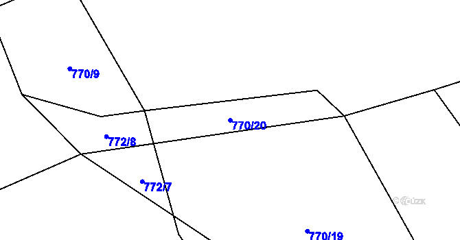 Parcela st. 770/20 v KÚ Nižní Lhoty, Katastrální mapa