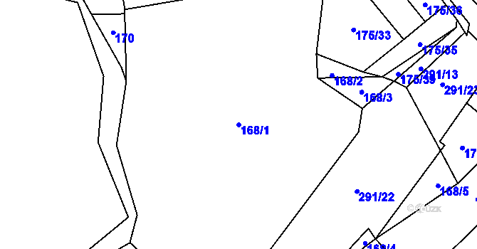 Parcela st. 168/1 v KÚ Nouzov u Dymokur, Katastrální mapa