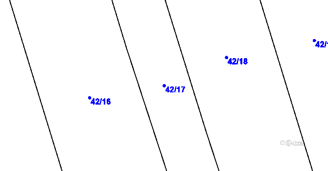 Parcela st. 42/17 v KÚ Nouzov u Dymokur, Katastrální mapa