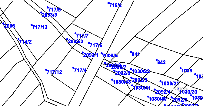 Parcela st. 2009/5 v KÚ Nová Cerekev, Katastrální mapa
