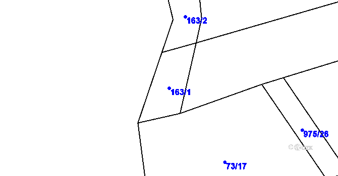 Parcela st. 163/1 v KÚ Nová Dědina, Katastrální mapa