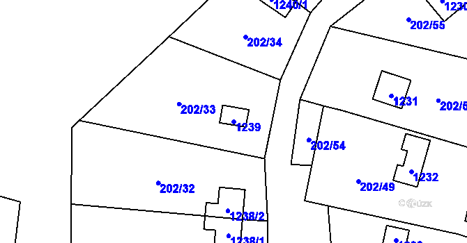 Parcela st. 1239 v KÚ Nová Pec, Katastrální mapa