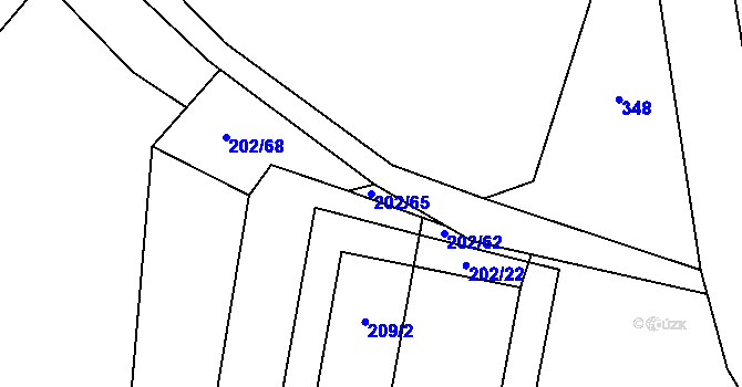 Parcela st. 202/65 v KÚ Nová Pec, Katastrální mapa