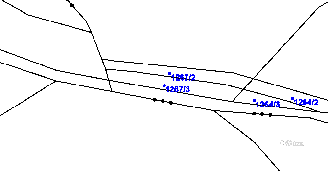 Parcela st. 1267/3 v KÚ Nová Role, Katastrální mapa