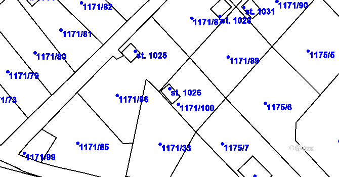 Parcela st. 1026 v KÚ Nová Role, Katastrální mapa