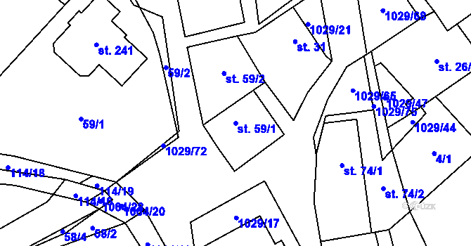 Parcela st. 59/1 v KÚ Nová Ves u Nelahozevsi, Katastrální mapa