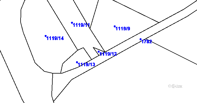 Parcela st. 1119/12 v KÚ Nová Ves u Nelahozevsi, Katastrální mapa