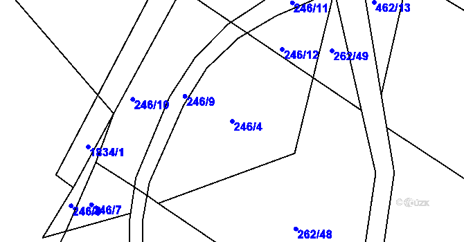Parcela st. 246/4 v KÚ Nová Ves u Brloha, Katastrální mapa