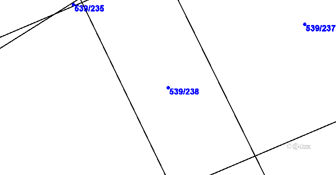 Parcela st. 539/238 v KÚ Nová Ves u Plzně, Katastrální mapa