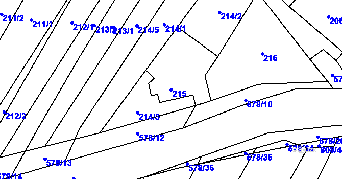 Parcela st. 215 v KÚ Nová Ves u Oslavan, Katastrální mapa