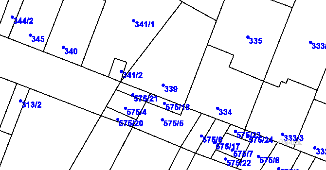 Parcela st. 339 v KÚ Nová Ves u Oslavan, Katastrální mapa