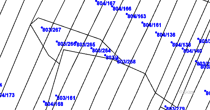 Parcela st. 803/4 v KÚ Nová Ves u Oslavan, Katastrální mapa