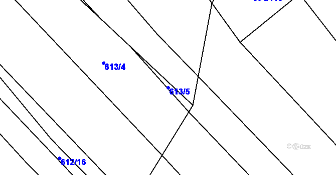 Parcela st. 613/5 v KÚ Nová Ves u Oslavan, Katastrální mapa