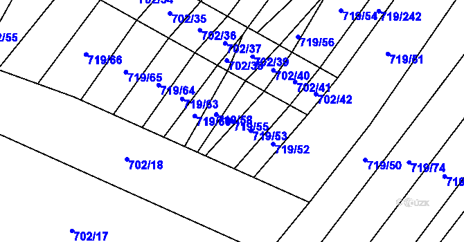 Parcela st. 719/55 v KÚ Nová Ves u Oslavan, Katastrální mapa