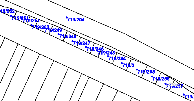 Parcela st. 719/245 v KÚ Nová Ves u Oslavan, Katastrální mapa