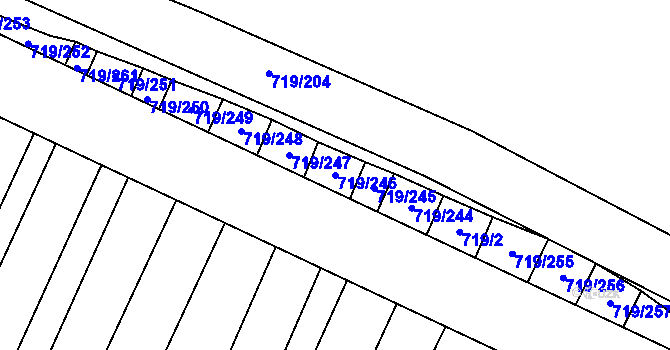 Parcela st. 719/246 v KÚ Nová Ves u Oslavan, Katastrální mapa
