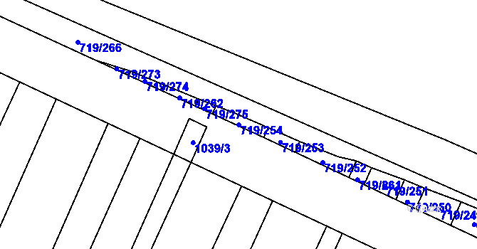 Parcela st. 719/254 v KÚ Nová Ves u Oslavan, Katastrální mapa