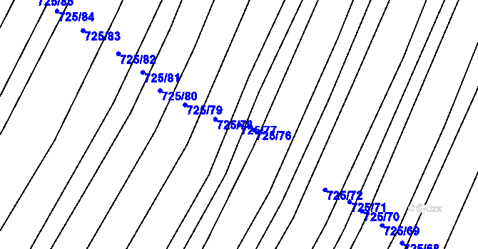 Parcela st. 725/77 v KÚ Nová Ves u Oslavan, Katastrální mapa