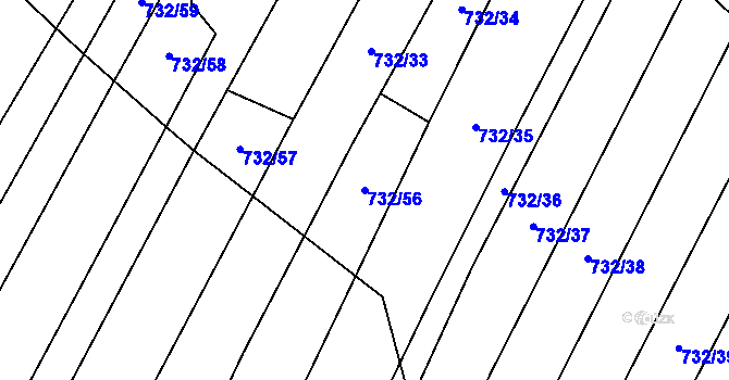 Parcela st. 732/56 v KÚ Nová Ves u Oslavan, Katastrální mapa