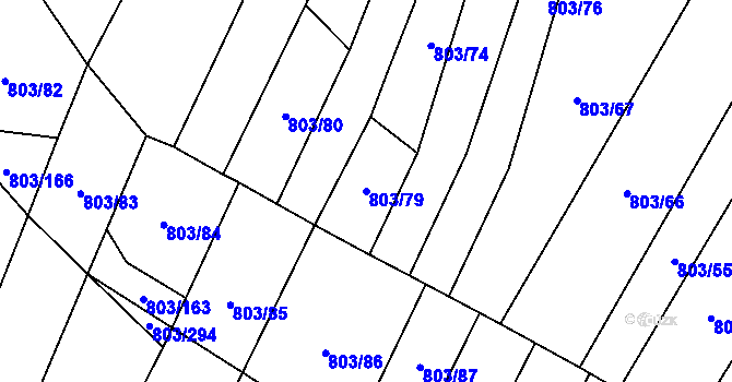 Parcela st. 803/79 v KÚ Nová Ves u Oslavan, Katastrální mapa