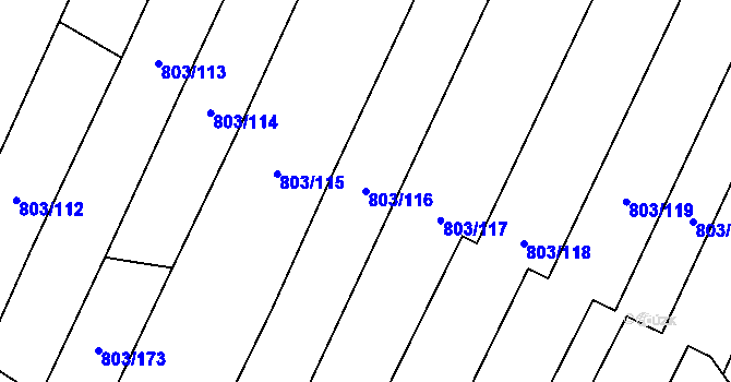 Parcela st. 803/116 v KÚ Nová Ves u Oslavan, Katastrální mapa