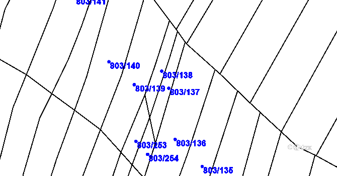 Parcela st. 803/137 v KÚ Nová Ves u Oslavan, Katastrální mapa