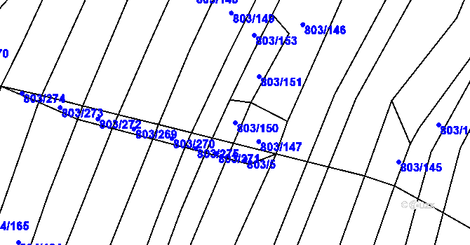 Parcela st. 803/150 v KÚ Nová Ves u Oslavan, Katastrální mapa