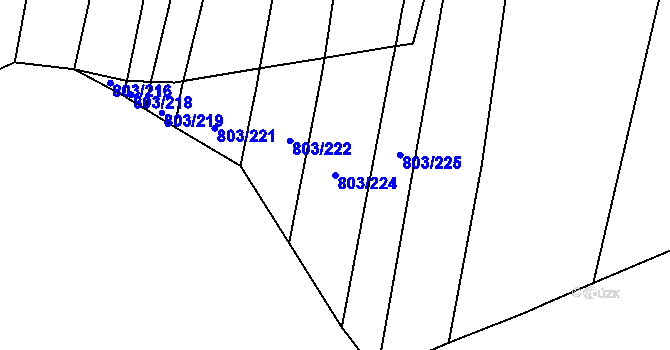Parcela st. 803/224 v KÚ Nová Ves u Oslavan, Katastrální mapa