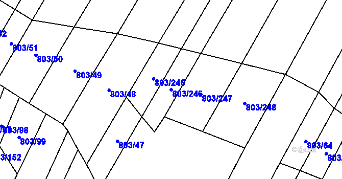Parcela st. 803/246 v KÚ Nová Ves u Oslavan, Katastrální mapa