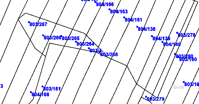 Parcela st. 803/268 v KÚ Nová Ves u Oslavan, Katastrální mapa