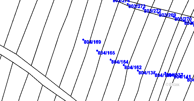 Parcela st. 804/165 v KÚ Nová Ves u Oslavan, Katastrální mapa