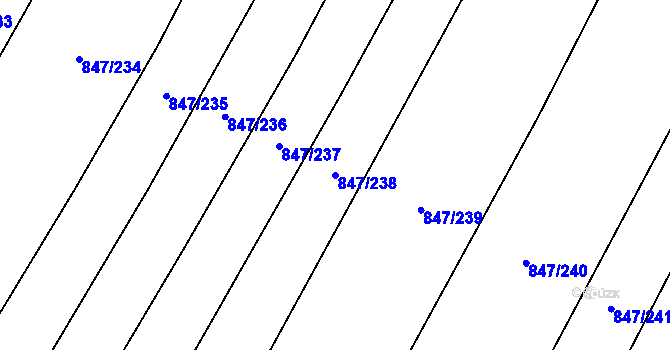 Parcela st. 847/238 v KÚ Nová Ves u Oslavan, Katastrální mapa