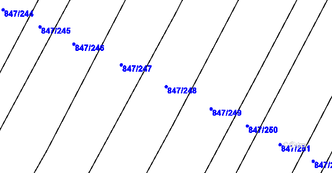 Parcela st. 847/248 v KÚ Nová Ves u Oslavan, Katastrální mapa