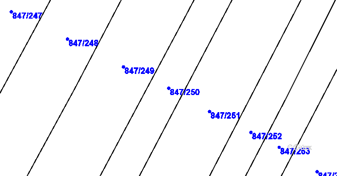 Parcela st. 847/250 v KÚ Nová Ves u Oslavan, Katastrální mapa