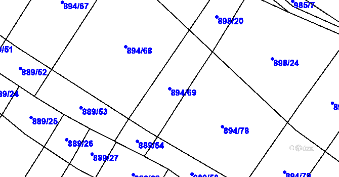Parcela st. 894/69 v KÚ Nová Ves u Oslavan, Katastrální mapa
