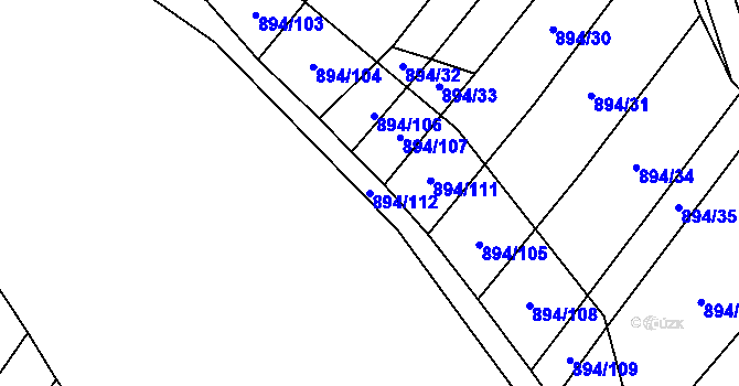Parcela st. 894/112 v KÚ Nová Ves u Oslavan, Katastrální mapa