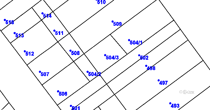 Parcela st. 504/3 v KÚ Nová Ves u Oslavan, Katastrální mapa