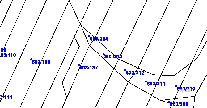 Parcela st. 803/313 v KÚ Nová Ves u Oslavan, Katastrální mapa